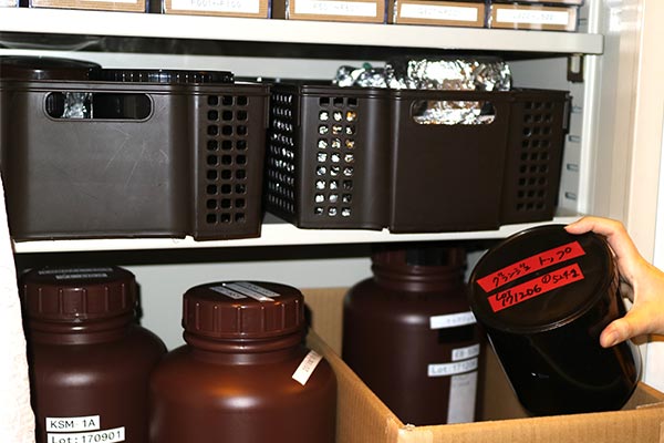 ジェルネイルの原料を語るのは、タピオカの原料を語るようなもの。