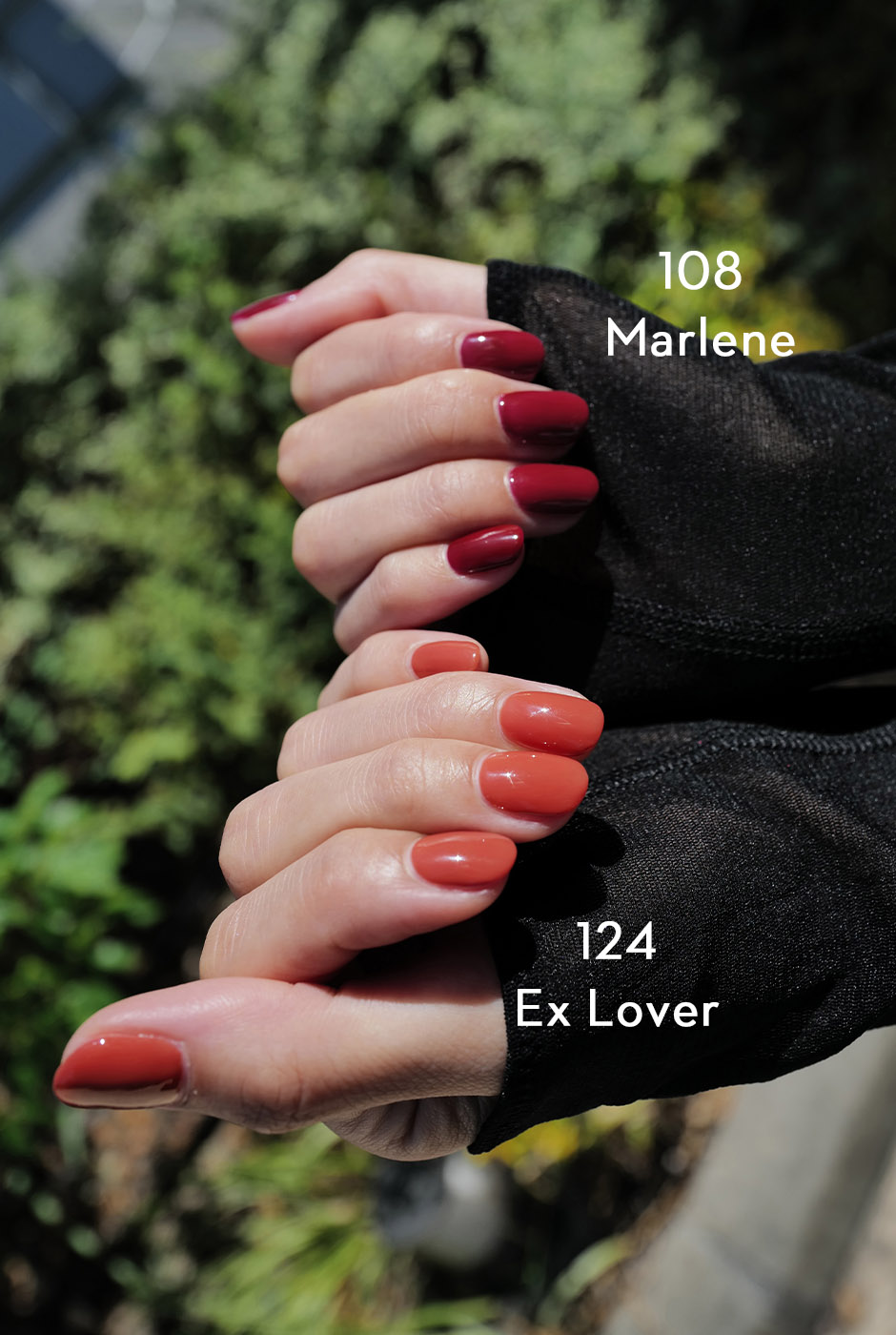 GRANJE スターターキット GRANJE スターターキット 楽天市場】【新商品】GRANJE